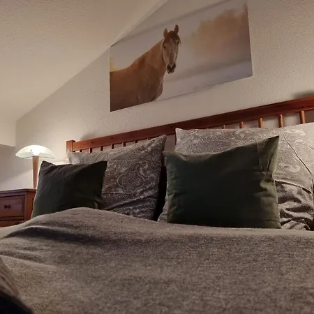 Urlaub Auf Dem Reithof Mit Klavier By Interhome Grossefehn